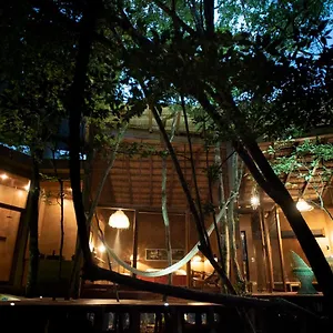  Villa Ojo De árbol, Boutique In The Jungle. Relax Mexique